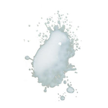 Load image into Gallery viewer, Enessa Palmarosa Body Spray Lotion
